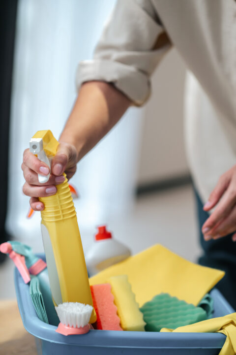 school cleaning services