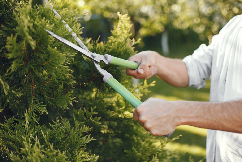 lawn management